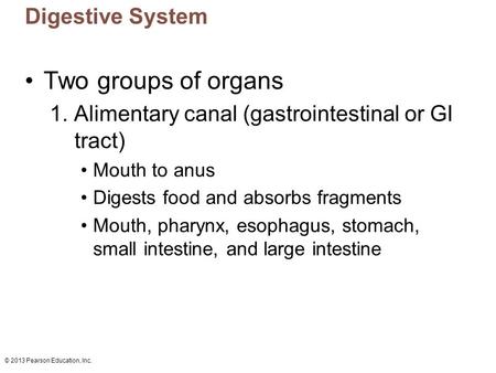 Two groups of organs Digestive System