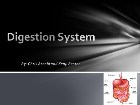 By: Chris Arnold and Kenji Easter. Your digestive system is all about getting food into your body, digesting the food, absorbing the nutrients you need,