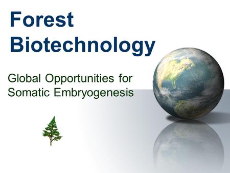 Forestry Biotechnology