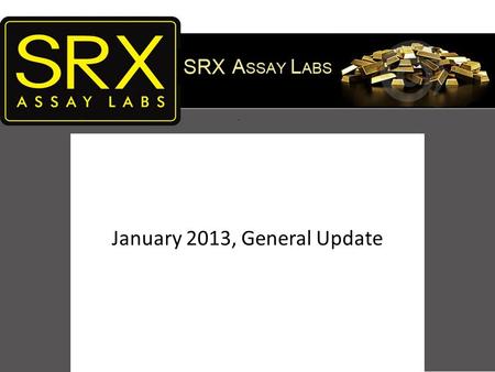 SRX ASSAY LABS January 2013, General Update. Key Success Factors ALL ASSAY & SAMPLE PREPARATION WORK DONE IN SUDBURY - ONTARIO TO ELIMINATE HANDLING ERRORS.
