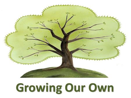 Growing Our Own. Our Vision The School District of Palm Beach County envisions a dynamic collaborative multicultural community where education and lifelong.