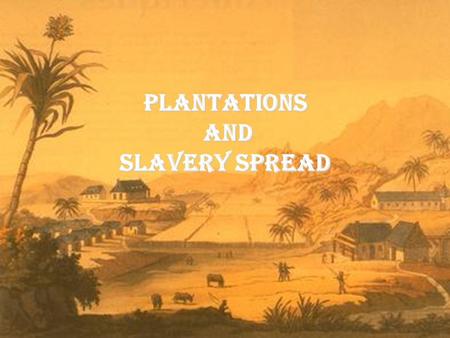 Plantations and Slavery Spread