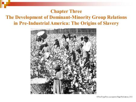 Chapter Three The Development of Dominant-Minority Group Relations in Pre-Industrial America: The Origins of Slavery © Pine Forge Press, an imprint of.