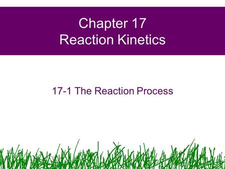 Chapter 17 Reaction Kinetics 17-1 The Reaction Process.