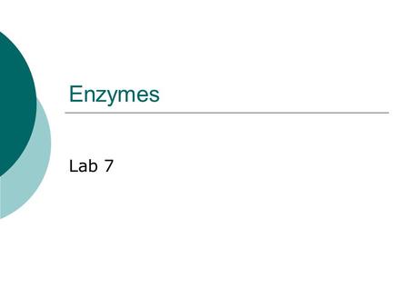 Enzymes Lab 7.