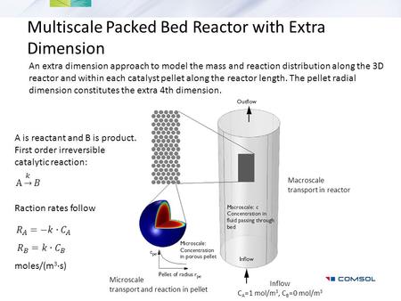 Multiscale Packed Bed Reactor with Extra Dimension