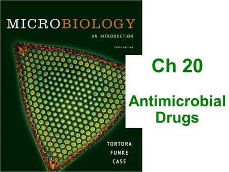 Ch 20 Antimicrobial Drugs