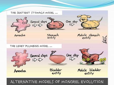 Evolution and Natural Selection Evolutionary theory Originally described by Charles Darwin. On The Origin of Species, 1859 There are slight variations.