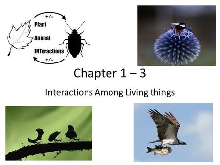 Interactions Among Living things