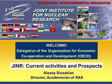 JINR: Current activities and Prospects