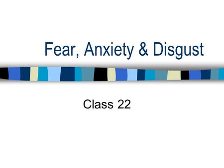 Fear, Anxiety & Disgust Class 22. Final Exam Date and Time Date:Tuesday, May 14 Time:11:45-2:45.