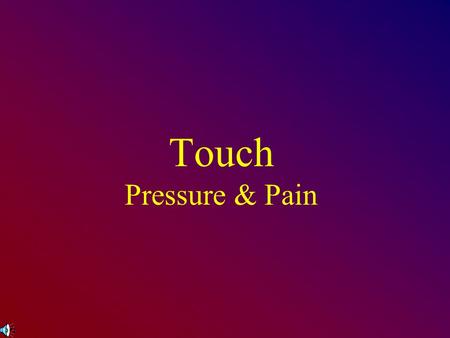 Touch Pressure & Pain.