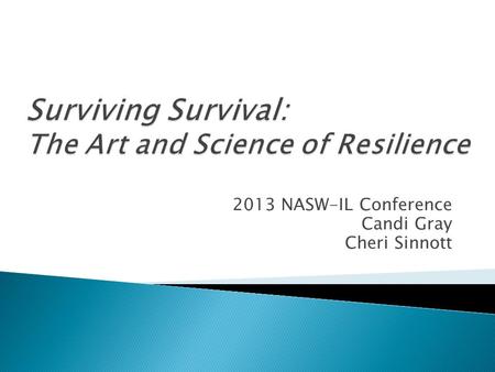 2013 NASW-IL Conference Candi Gray Cheri Sinnott.