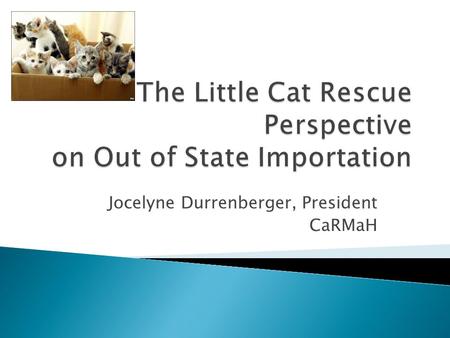 Jocelyne Durrenberger, President CaRMaH.  Cat Rescue of Marlborough and Hudson  Original Mission: to reduce community cat homelessness in Marlborough/Hudson.