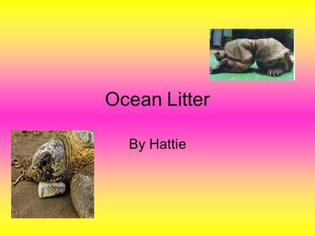Ocean Litter By Hattie. plastic Thousands of tonnes of plastic debris End up in our ocean each year.