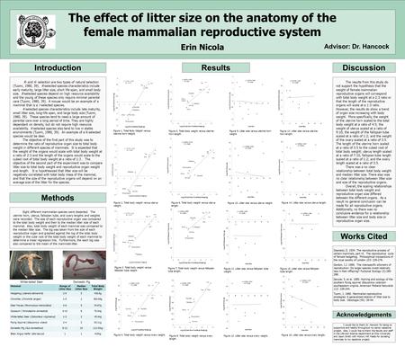 Introduction Methods Results The effect of litter size on the anatomy of the female mammalian reproductive system Erin Nicola Discussion R- and K- selection.