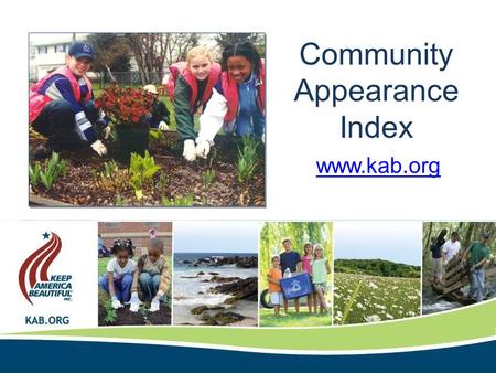 Www.kab.org Community Appearance Index.  Litter Index (Required for Good Standing)  Optional Indices  Illegal Signs  Graffiti  Abandoned/Junked Vehicles.