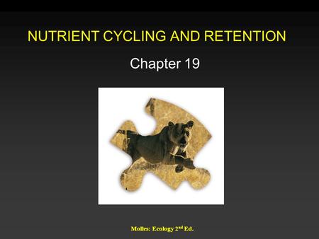 NUTRIENT CYCLING AND RETENTION