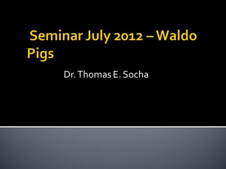 Seminar July 2012 – Waldo Pigs