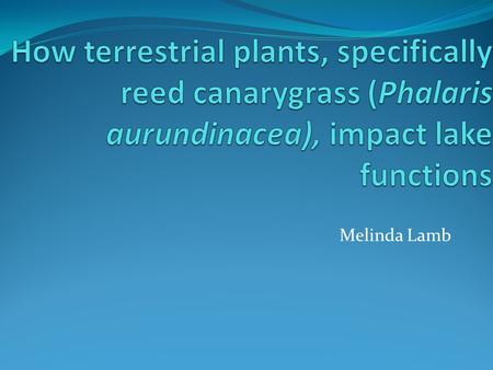 Melinda Lamb. Watersheds have significant impacts Lake Conditions Bed rock leaching Top soil depth (Brown et al. 2008) Vegetation Nutrient uptake/ soil.