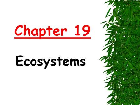 Chapter 19 Ecosystems. Ecosystem  All the living and nonliving elements in a given place.  Ex: Marsh, coral reef, rain forest, and a city.