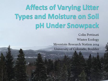 Affects of Varying Litter Types and Moisture on Soil pH Under Snowpack