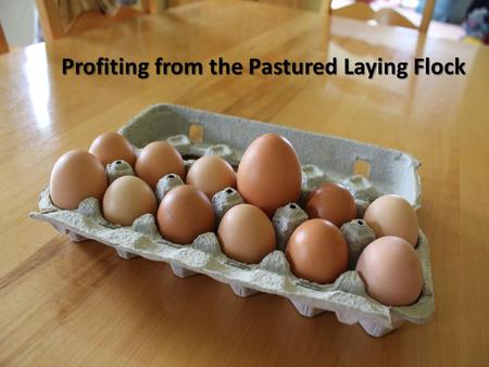 Profiting from the Pastured Laying Flock. Hybrids (ISA Browns, Sex Links, Lohmanns) lay more (up to 320 eggs/year) eat less (130 g/day) forage well.