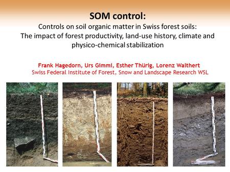 SOM control: Controls on soil organic matter in Swiss forest soils: The impact of forest productivity, land-use history, climate and physico-chemical stabilization.