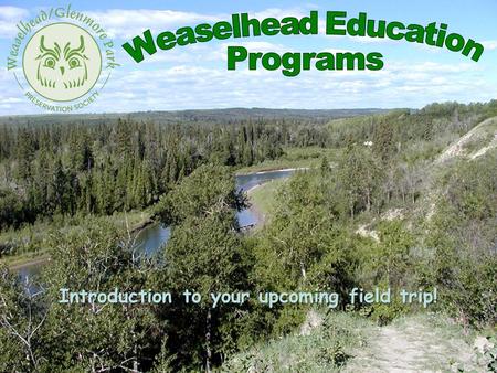 Introduction to your upcoming field trip!. Weaselhead History The Weaselhead / Glenmore Park Preservation Society was officially formed in 1994. The.