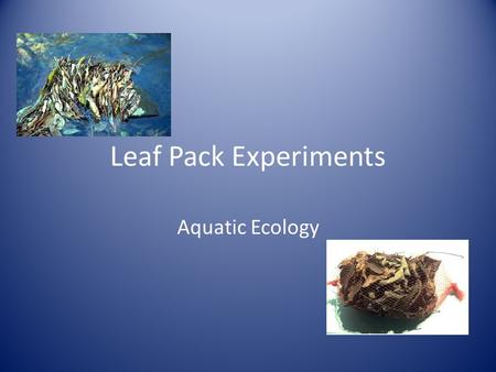 Leaf Pack Experiments Aquatic Ecology. Background Historically, most small streams in the eastern United States were forested. Leaf fall from the forest.