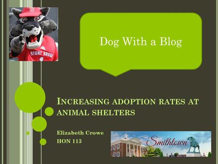 I NCREASING ADOPTION RATES AT ANIMAL SHELTERS Elizabeth Crowe HON 113 Dog With a Blog.