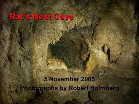 Rat’s Nest Cave 5 November 2005 Photographs by Robert Holmberg.