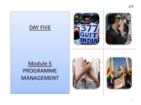 DAY FIVE Module 5 PROGRAMME MANAGEMENT 1 1/3. Overview of Module 5 Terms and definitions Introducing the 2011 Global MSM and TG Guidelines. Exploring.