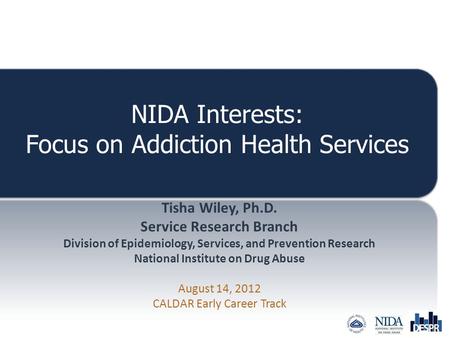 NIDA Interests: Focus on Addiction Health Services