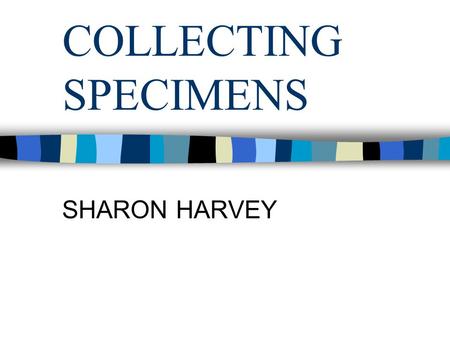 COLLECTING SPECIMENS SHARON HARVEY. SPECIMENS ANY BODY TISSUE CAN HAVE A SPECIMEN TAKEN FROM IT THE MOST COMMON SPECIMENS INCLUDE: BLOOD URINE FAECES.
