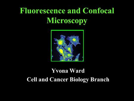 Fluorescence and Confocal Microscopy Yvona Ward Cell and Cancer Biology Branch.