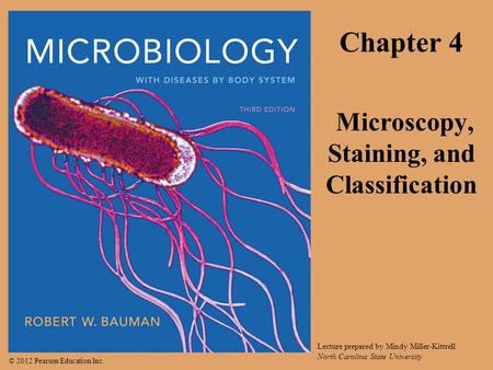Microscopy, Staining, and Classification
