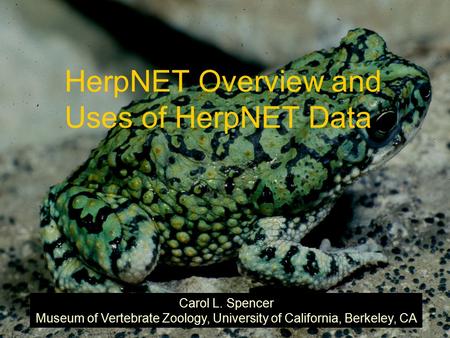 HerpNET Overview and Uses of HerpNET Data Carol L. Spencer Museum of Vertebrate Zoology, University of California, Berkeley, CA.