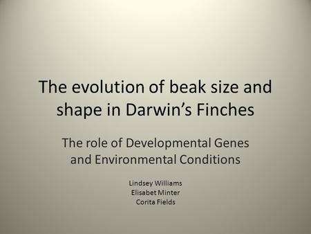The evolution of beak size and shape in Darwin’s Finches The role of Developmental Genes and Environmental Conditions Lindsey Williams Elisabet Minter.