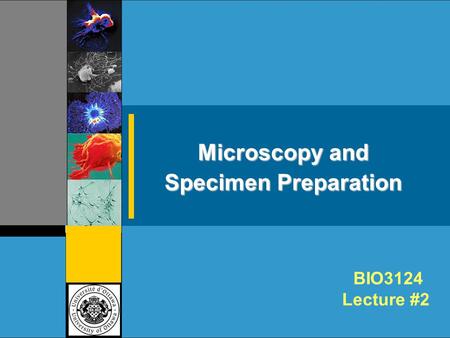Microscopy and Specimen Preparation BIO3124 Lecture #2.