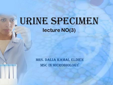Urine specimen lecture NO(3)