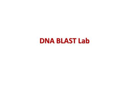 DNA BLAST Lab.