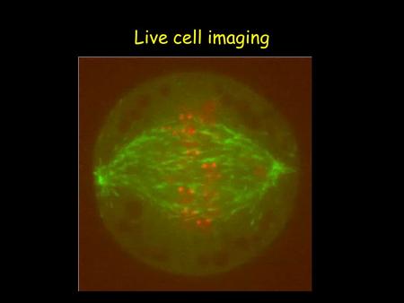 Live cell imaging. Why live cell imaging? Live cell analysis provides direct spatial and temporal information Planning your experiment – The markers/fluorophores.