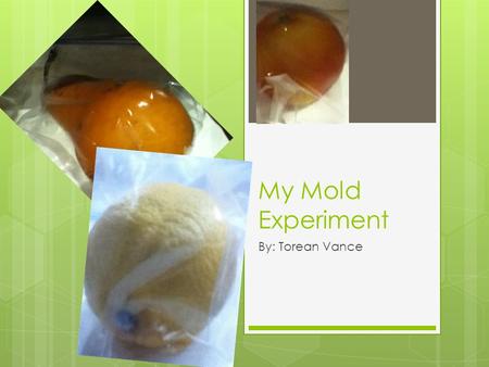 My Mold Experiment By: Torean Vance. Purpose  To observe and officially determine which fruit grows mold the fastest and most out of these subjects: