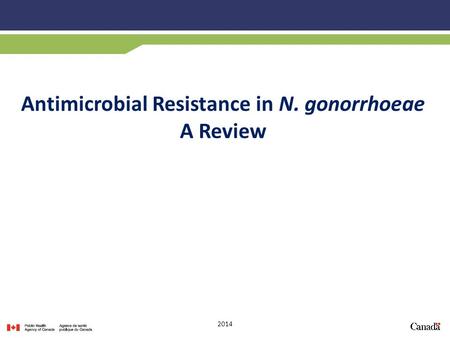Antimicrobial Resistance in N. gonorrhoeae A Review