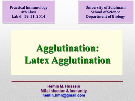 Agglutination: Latex Agglutination
