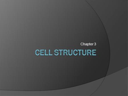 Chapter 3 Cell Structure.