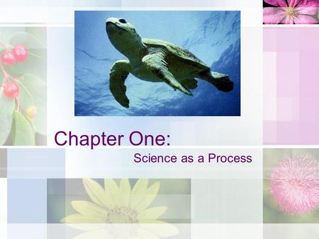Chapter One: Science as a Process.