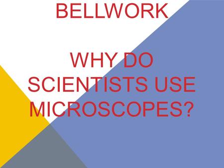 Bellwork Why do scientists use Microscopes?