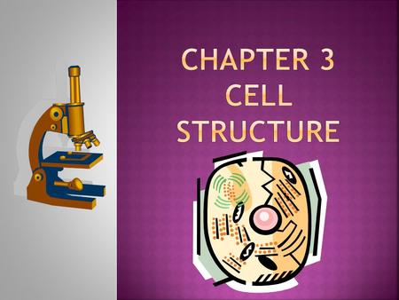 Chapter 3 Cell Structure